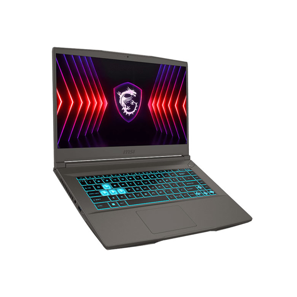 Laptop MSI Thin 15 B13VE 2824VN (Intel Core i5-13420H | 16GB (2x8) | 512GB | RTX 4050 6GB | 15.6 inch FHD 144Hz | Win 11 | Xám)
