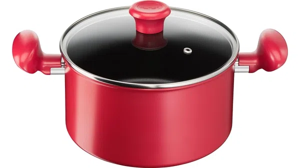 Nồi Tefal Pure Chef Plus 22cm