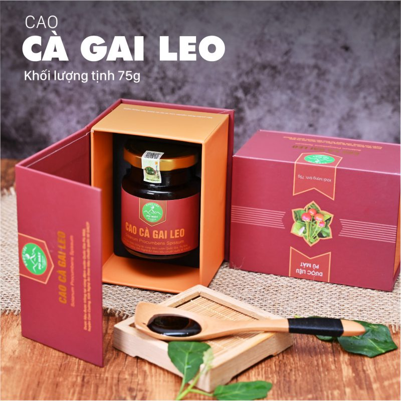 Cao Dây thìa canh Pù Mát