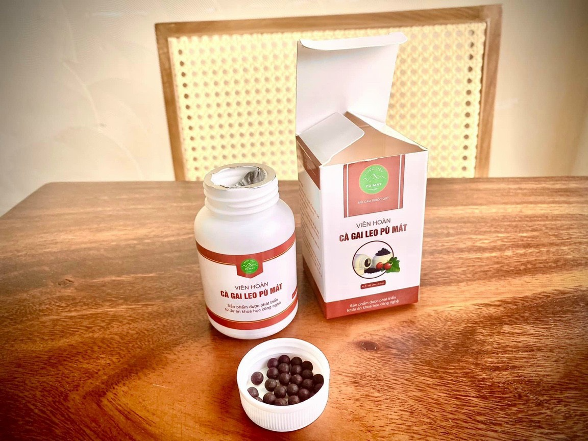 VIÊN HOÀN CÀ GAI LEO PÙ MÁT