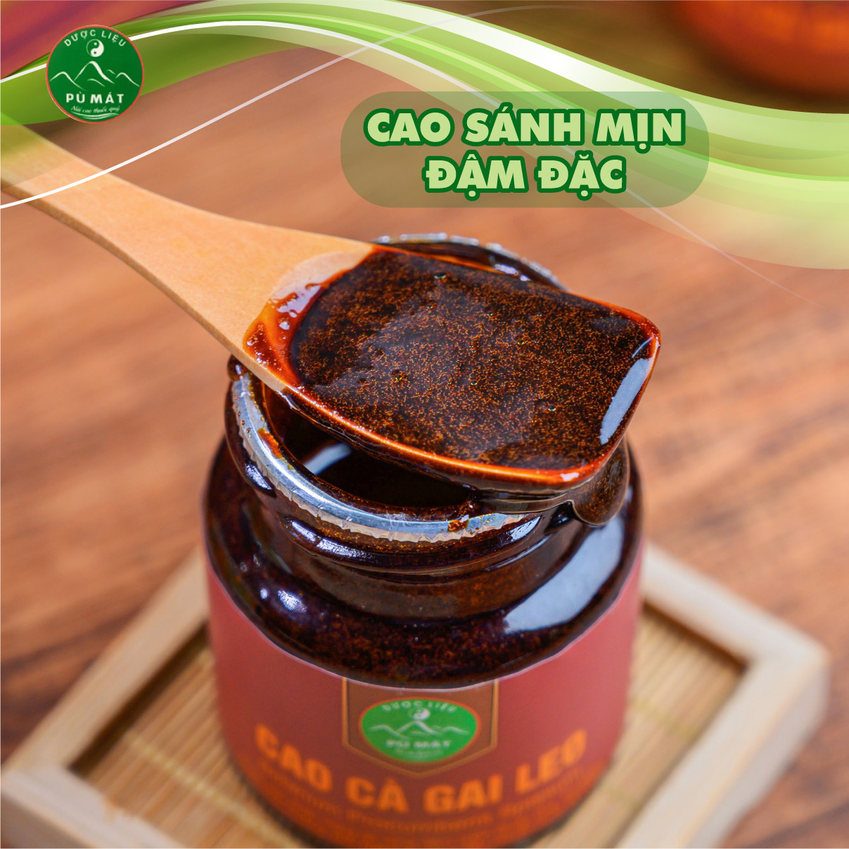 Cao cà gai leo Pù Mát