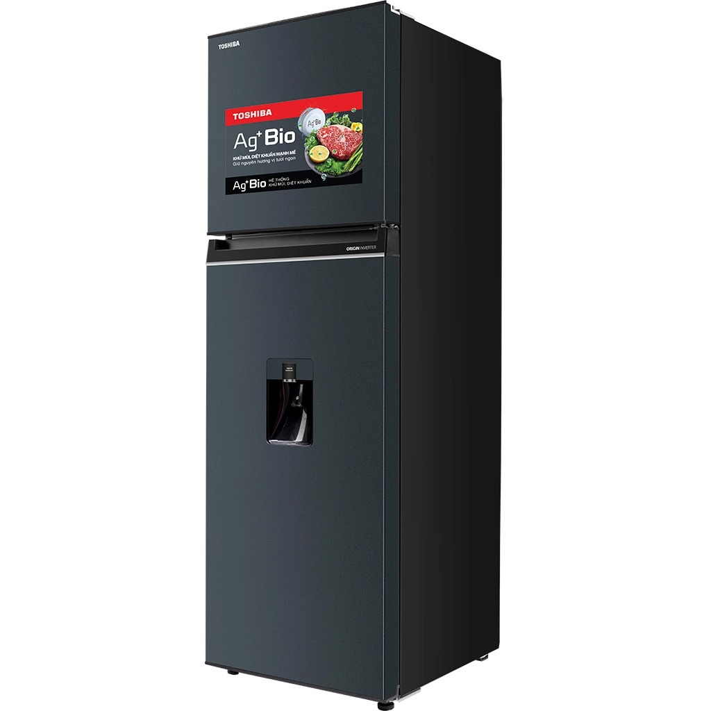 Tủ lạnh Toshiba Inverter 249 lít GR-RT325WE-PMV(06)-MG